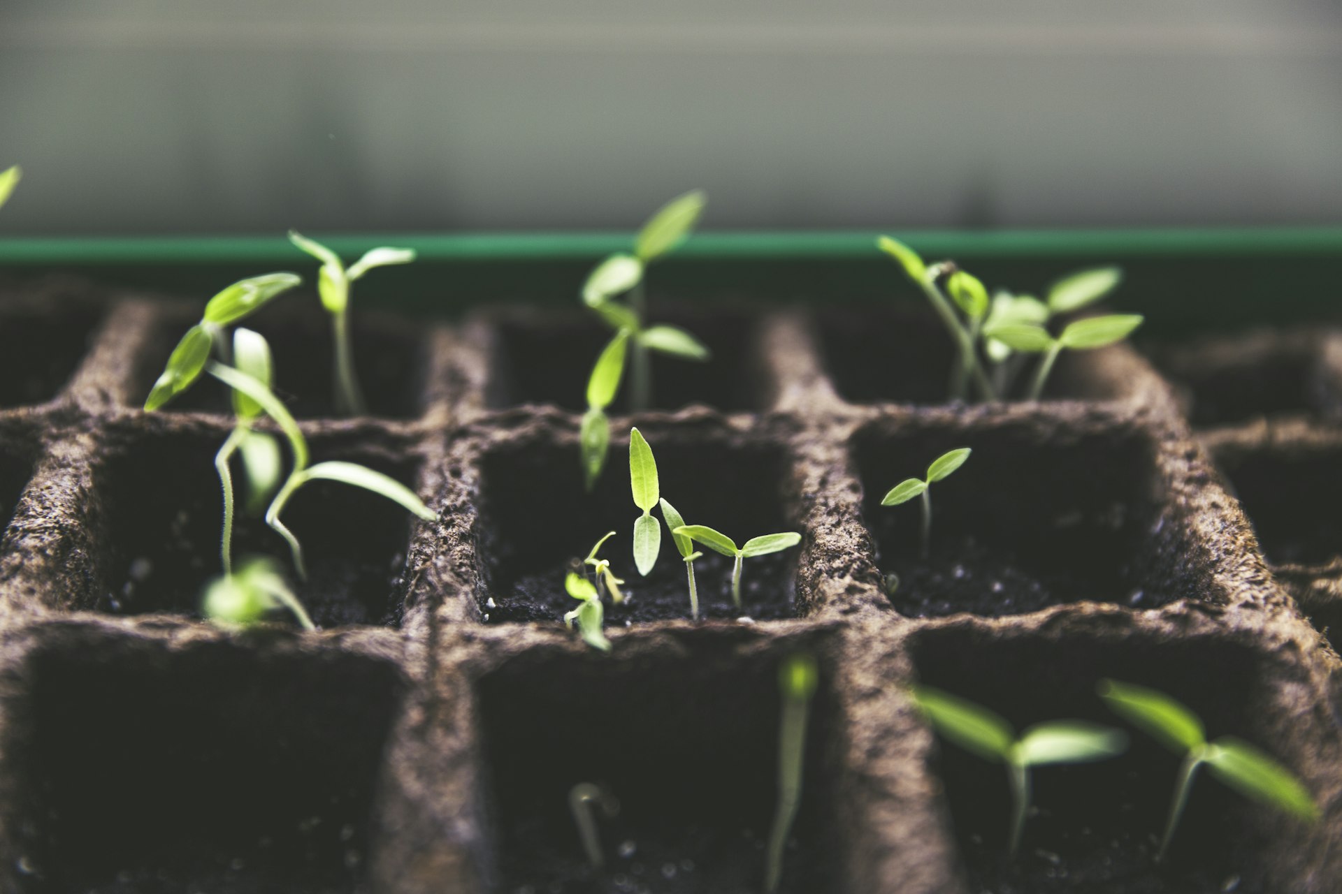 Retirement Planning for Business Owners: A Complete Guide